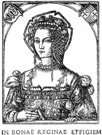 Piotrków 1540 r. Żądania posłów wobec króla.
