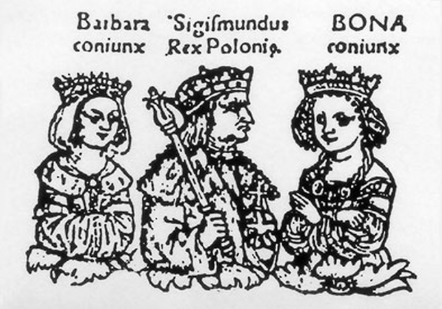 Sejm koronacyjny królowej Barbary Zapolya w Krakowie. 1512 r.